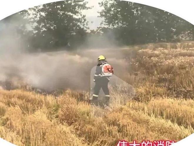 抢收小伙是00后看到收割机网友不淡定了PG电子麻将胡了山东麦田起火原因曝光(图4)
