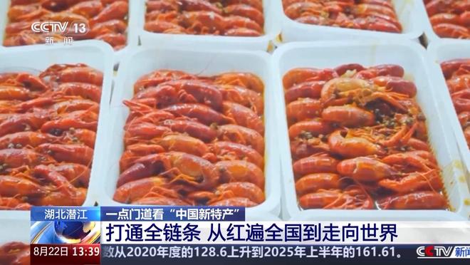 顶流 “中国新特产”走向世界PG麻将胡了从外来物种到夜宵(图2)