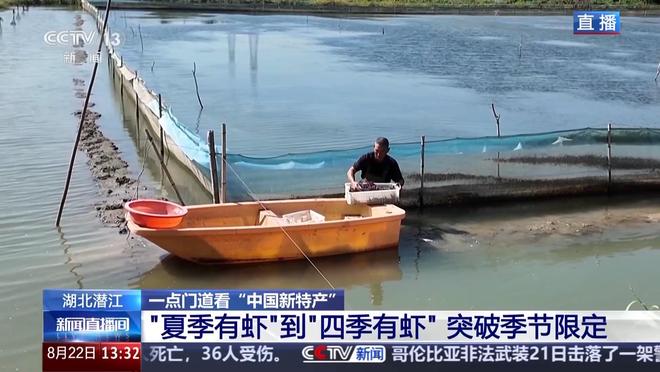顶流 “中国新特产”走向世界PG麻将胡了从外来物种到夜宵(图4)