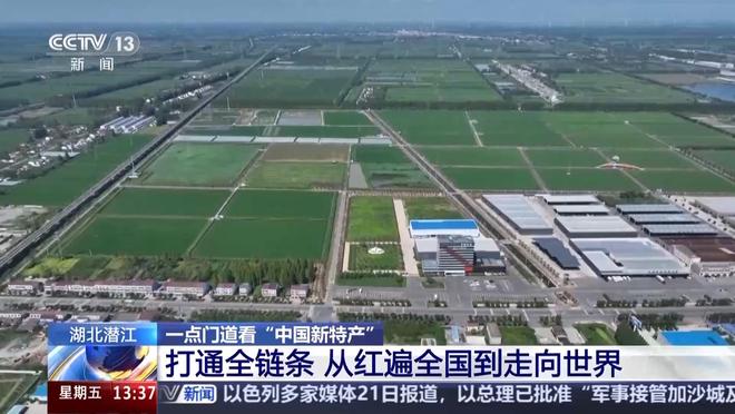 顶流 “中国新特产”走向世界PG麻将胡了从外来物种到夜宵(图9)