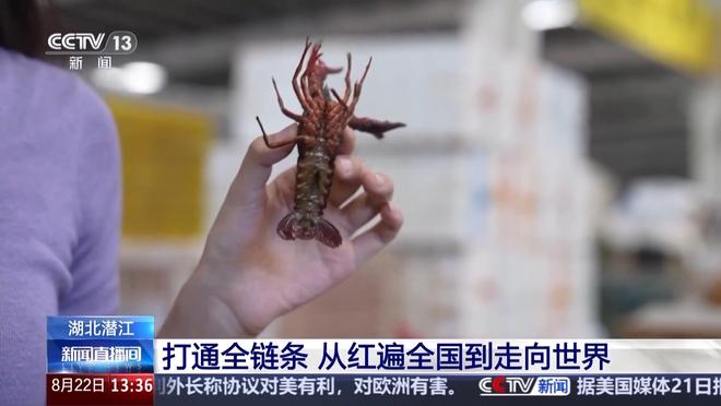 顶流 “中国新特产”走向世界PG麻将胡了从外来物种到夜宵(图7)