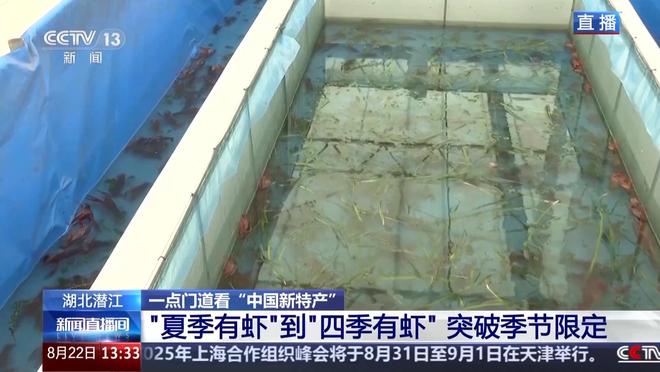 顶流 “中国新特产”走向世界PG麻将胡了从外来物种到夜宵(图13)
