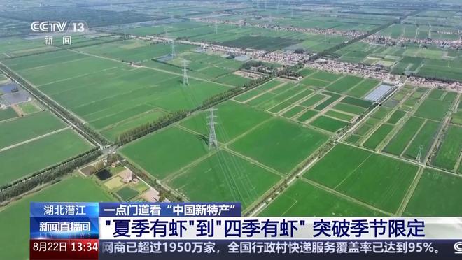 顶流 “中国新特产”走向世界PG麻将胡了从外来物种到夜宵(图11)